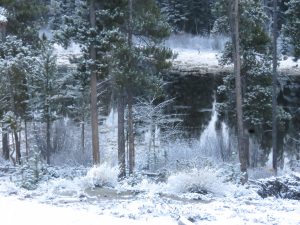 8 snow (Gearing Up For Spring)