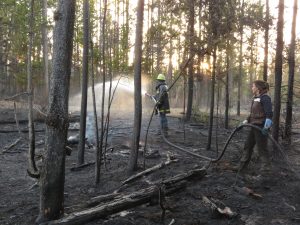 IMG_4748 (My Very Own Forest Fire)