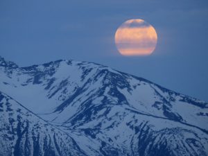 IMG_4951 (Gearing Up For Spring)