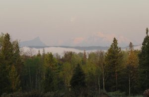 smoke (Gearing Up For Spring)