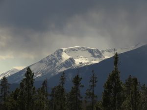 thunder light (Gearing Up For Spring)
