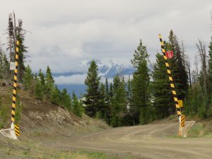 1 bella coola hill (Bella Coola Spring)