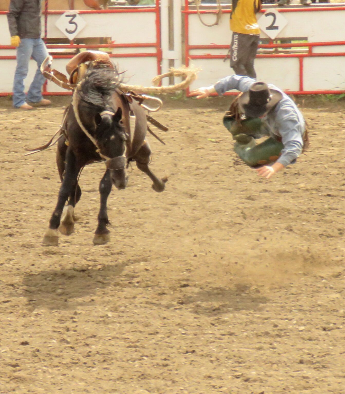 Anahim Lake Rodeo Wilderness Dweller
