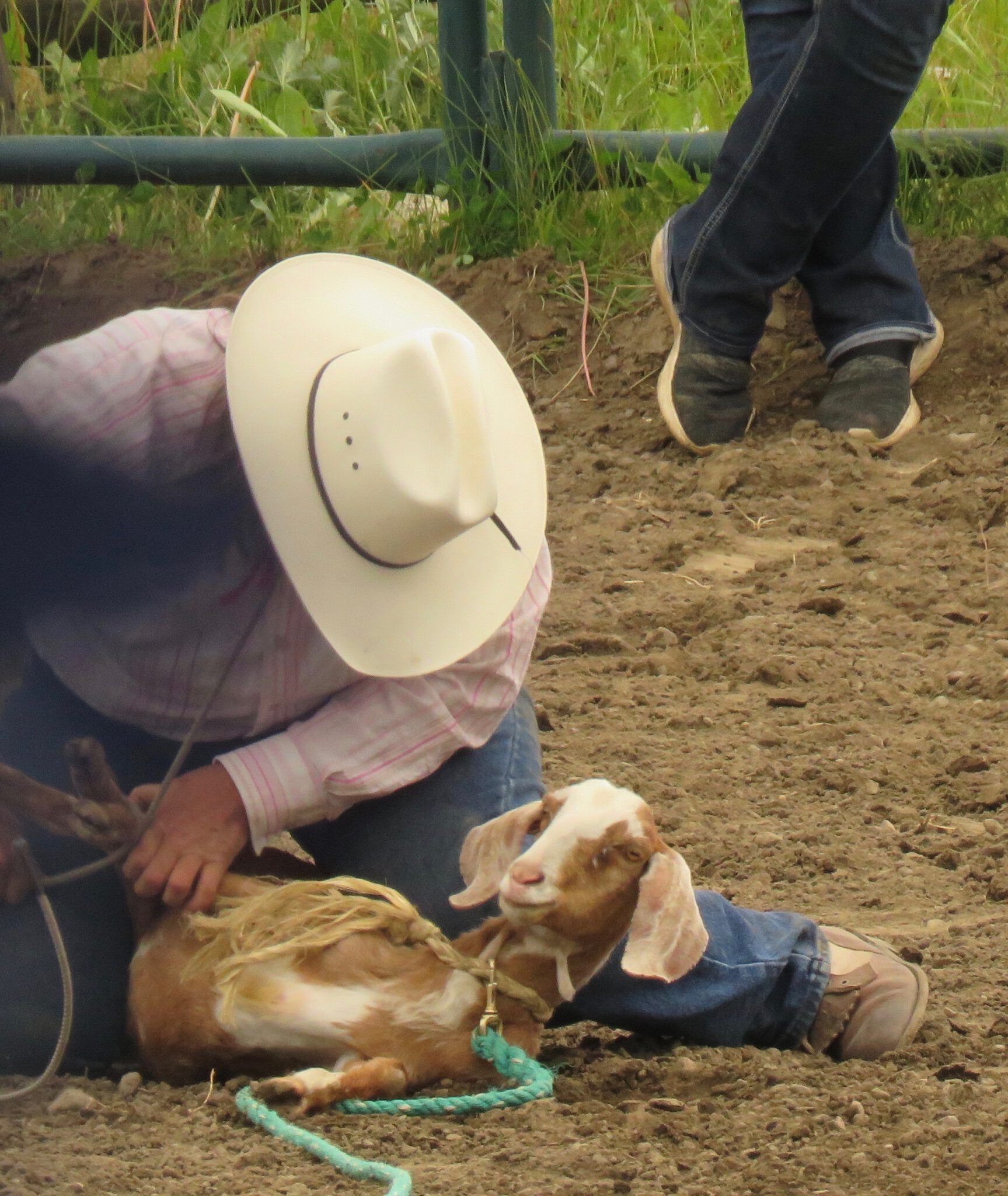 Anahim Lake Rodeo Wilderness Dweller
