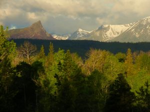 strong am light – FP burn (June (2019))