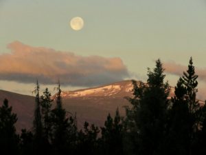 june moon (June (2019))