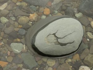 18 stone (Tatlayoko Lake in the Fog)