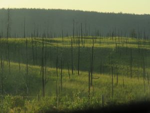 2 town trip 2 (Tatlayoko Lake in the Fog)