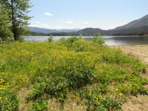 24 Big Stick Lake (Tatlayoko Lake in the Fog)