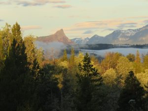 misty morning (June (2019))