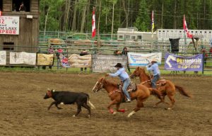 31 team roping 1 (Anahim Lake Rodeo)