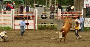 36 bull riding 2 (Anahim Lake Rodeo)