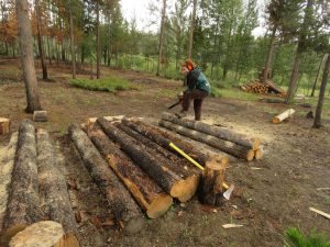 5 Caitlin sawing (Tatlayoko Lake in the Fog)