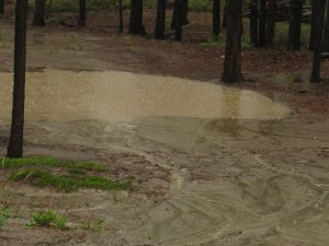 9 deluge (Tatlayoko Lake in the Fog)