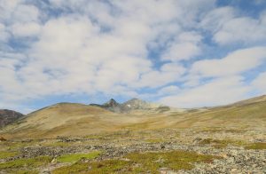 16 PP (Perkins Peak Late August)