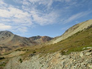 19 to south mine (Perkins Peak Late August)
