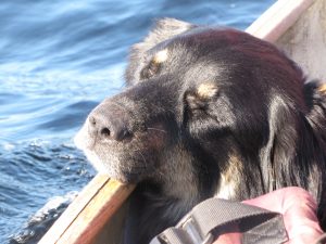 3e badger canoe sleep 2 (Badger’s Last Ride.)