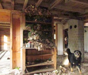 64 packrat palace (Badger’s Last Ride.)