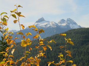 22 Squamish (Booktour Highlights)