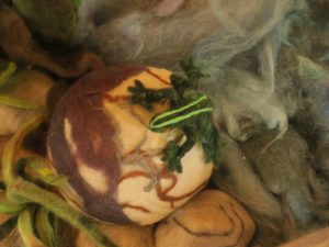 3 frog on rock (Booktour Highlights)