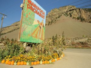 5 mariposa orchard (Booktour Highlights)