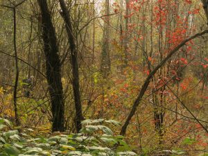 7 city fall (Booktour Highlights)