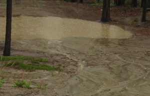 9 deluge (Newsletters)