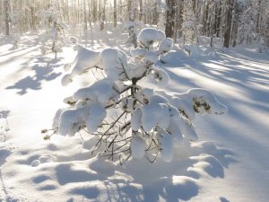 10 fantastic sun (Solstice 2019)