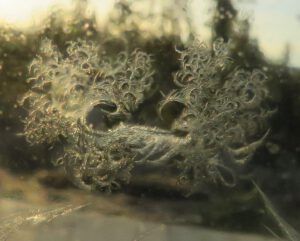 10 ice on window. (November)