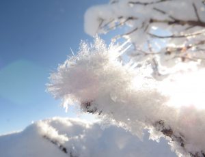 13 frost crystals (Solstice 2019)