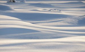 19 long shadows (Solstice 2019)