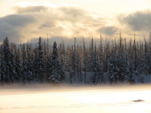 20 fog (Solstice 2019)