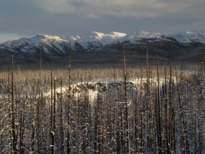 30 little rainbows (Solstice 2019)