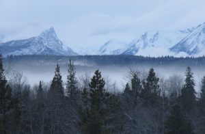 3a just dreary (Newsletters)