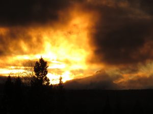 IMG_7839 (Solstice 2019)