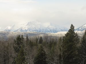 10 middle nt (You Get What You Wish For)