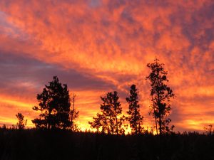 13 sunrise (You Get What You Wish For)