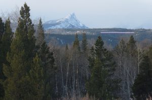 16 thawed (You Get What You Wish For)