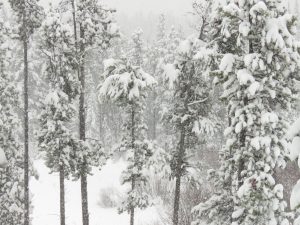 19 heavy nsow (You Get What You Wish For)