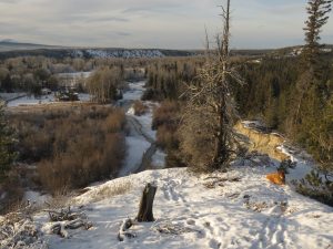 4 river (You Get What You Wish For)