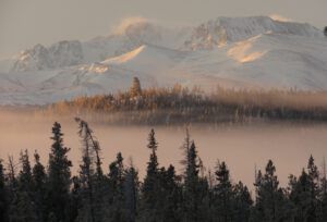 11a-internet-tower (Candlemass Day)