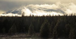 13-nogwon (Candlemass Day)