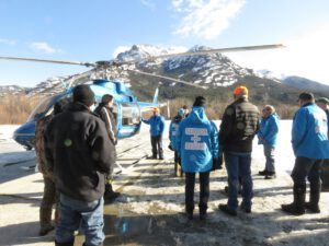 14 in yard (Into February)