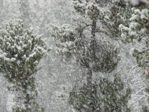 17-snow (Candlemass Day)