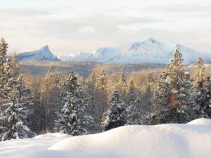 2-new-snow (Candlemass Day)