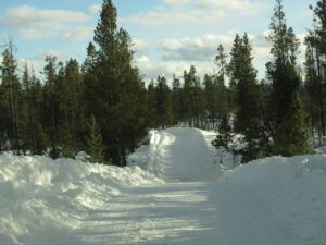 road (Into February)