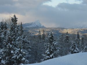 5 FP fresh snow (Into February)