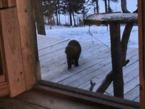 2.  Marten1 (Happy Corona Equinox)