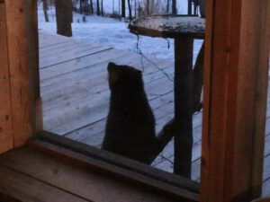 3. marten 2 (Happy Corona Equinox)