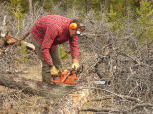 Version 2 (Fourteen Days)